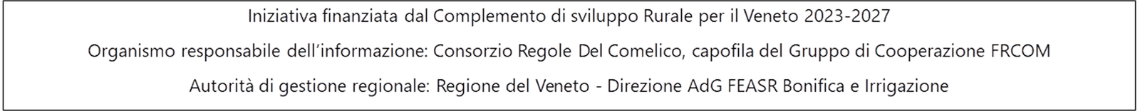CRC banner2 bando pagina